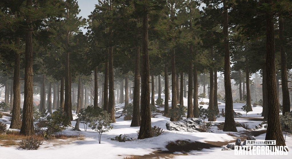 Как выжить на Vikendi. Краткий гид по новейшей карте для PUBG - фото 5