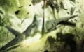 Ace Combat Assault Horizon - изображение обложка