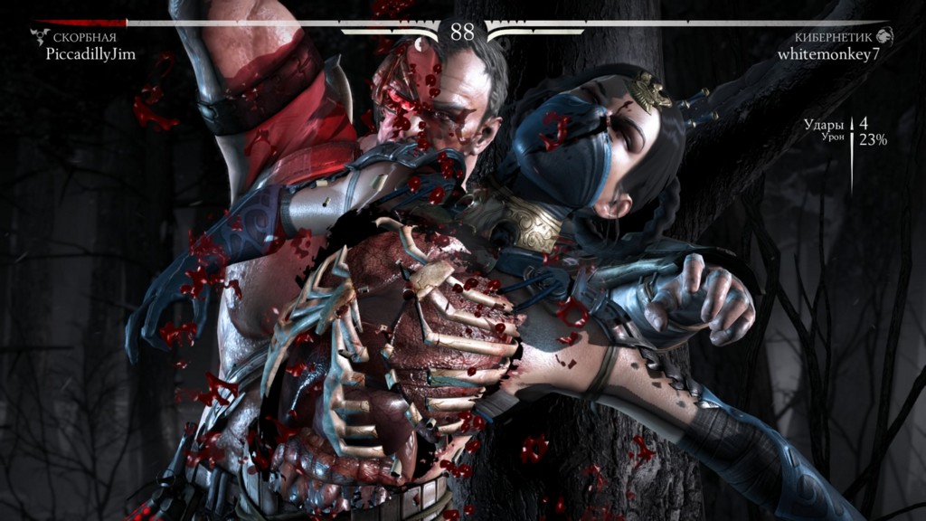 Mortal Kombat X: первые впечатления - изображение 14 Mortal Kombat X: первые впечатления - фото 14