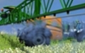 Farming Simulator 2013 - изображение обложка