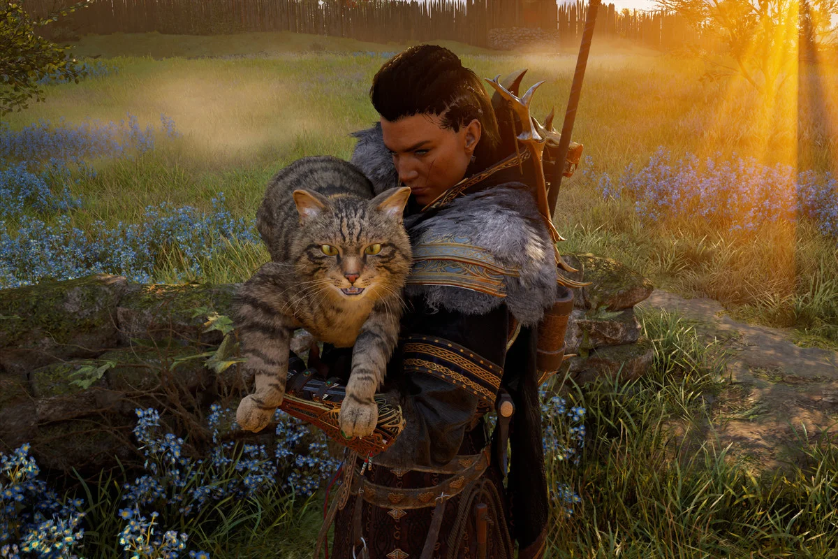 Гайд: Как погладить всех котов Эврё в Assassin’s Creed Valhalla - изображение обложка