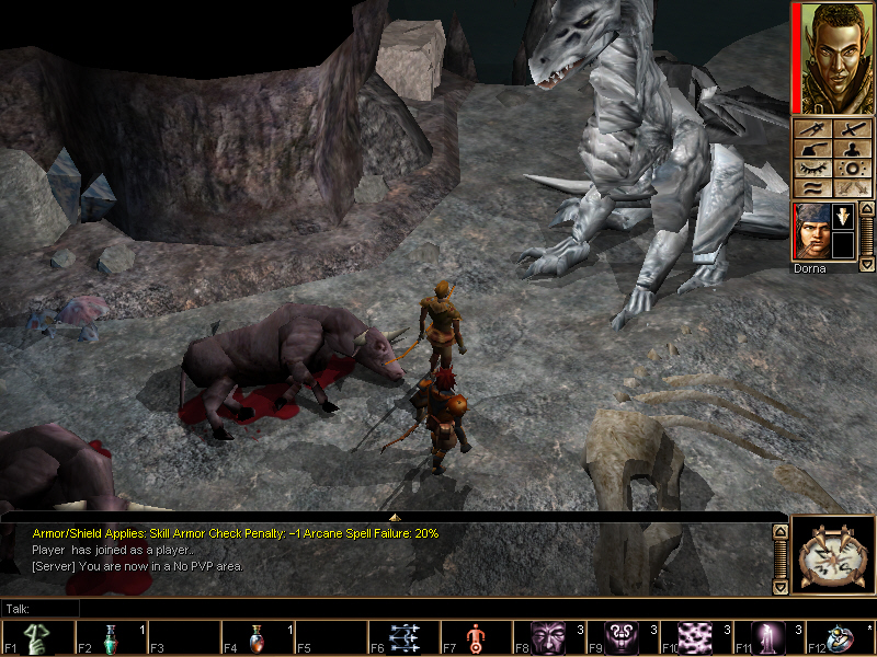 Neverwinter Nights: Shadows of Undrentide - фото 3