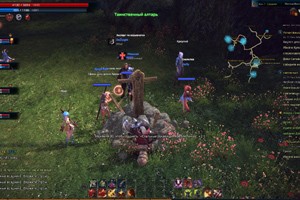 Первый запуск: TERA по-русски. День второй - фото 4