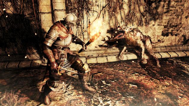 Dark Souls 2 - фото 3