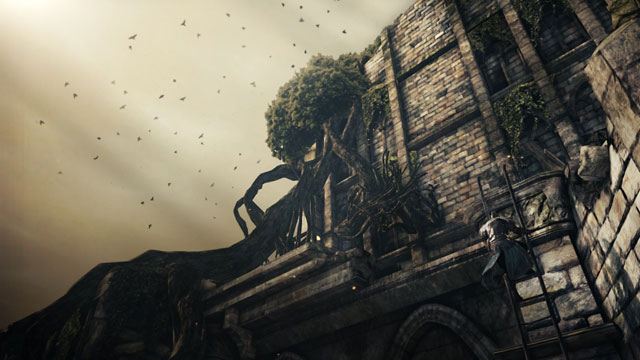 Dark Souls 2 - фото 5