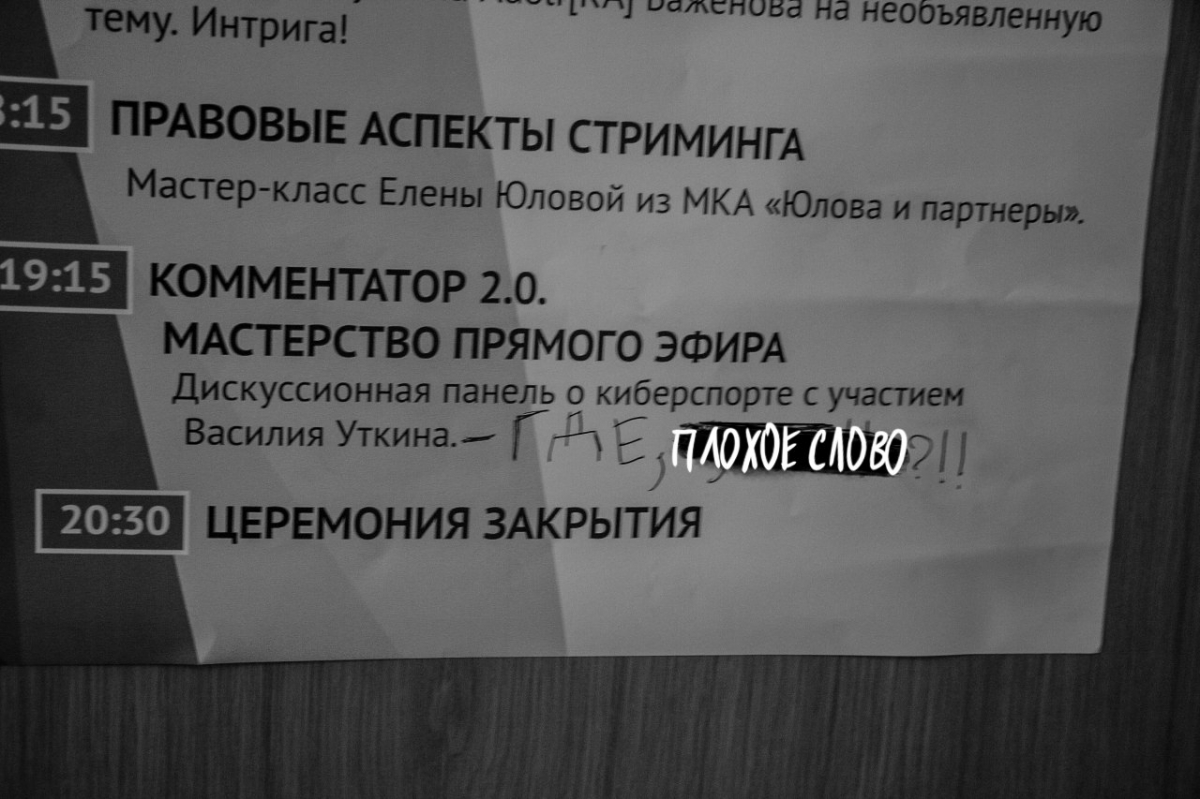 Фоторепортаж со «Стримфеста-2017»: блогеры, игры и косплей - изображение 25 Фоторепортаж со «Стримфеста-2017»: блогеры, игры и косплей - фото 25
