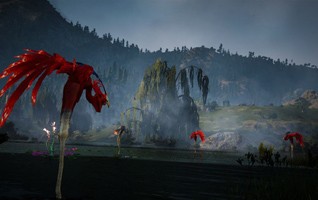 Прогулки по миру Black Desert - изображение 36 Прогулки по миру Black Desert - фото 36