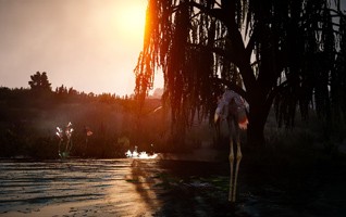 Прогулки по миру Black Desert - изображение 37 Прогулки по миру Black Desert - фото 37