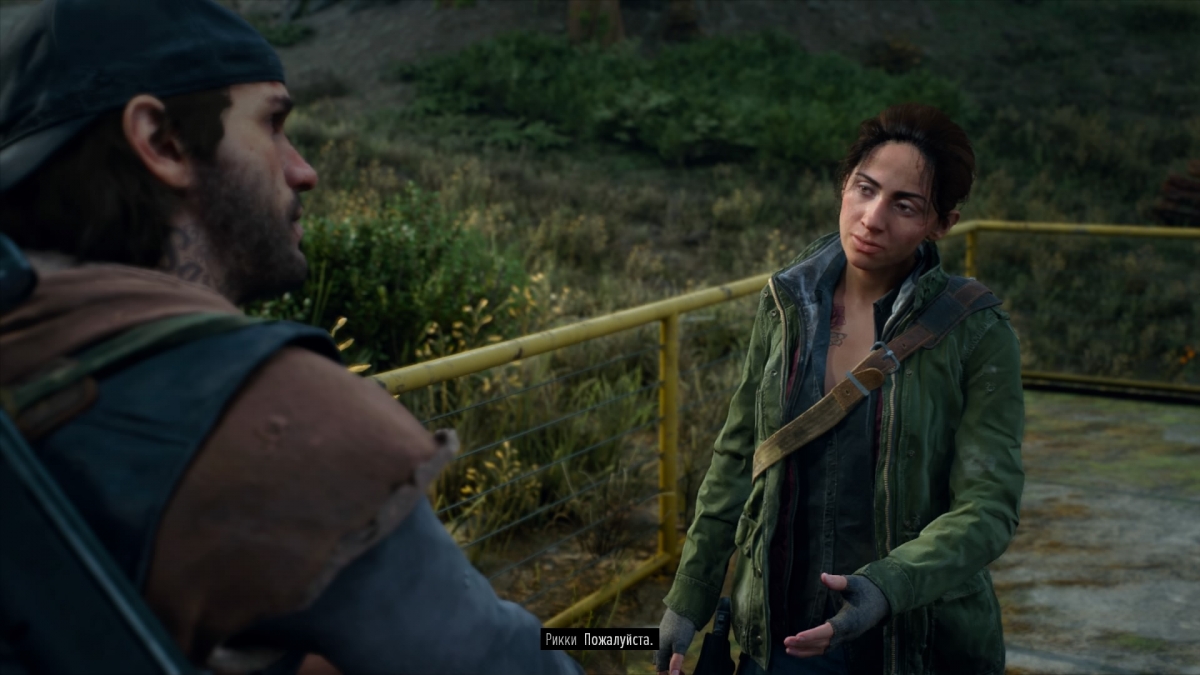 Обзор Days Gone. Жизнь после The Last of Us - изображение 8 Обзор Days Gone. Жизнь после The Last of Us - фото 8
