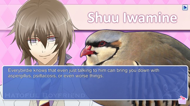 Hatoful Boyfriend - изображение 7 Hatoful Boyfriend - фото 7