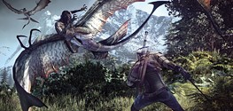 The Witcher 3: Wild Hunt - изображение 6 The Witcher 3: Wild Hunt - фото 6