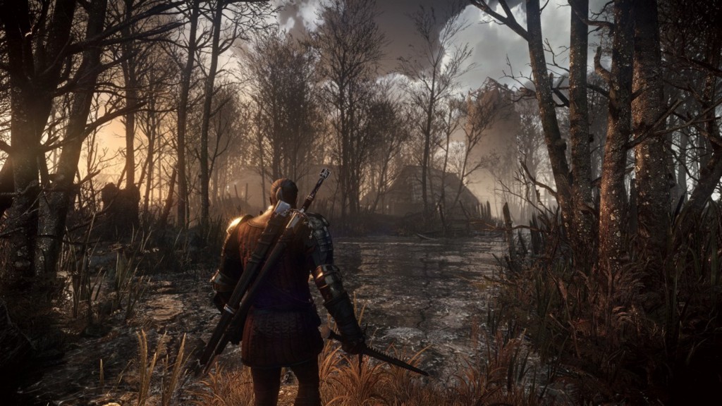 The Witcher 3: Wild Hunt - изображение 3 The Witcher 3: Wild Hunt - фото 3