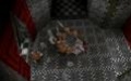 Руководство и прохождение по "Deathtrap Dungeon" - изображение обложка