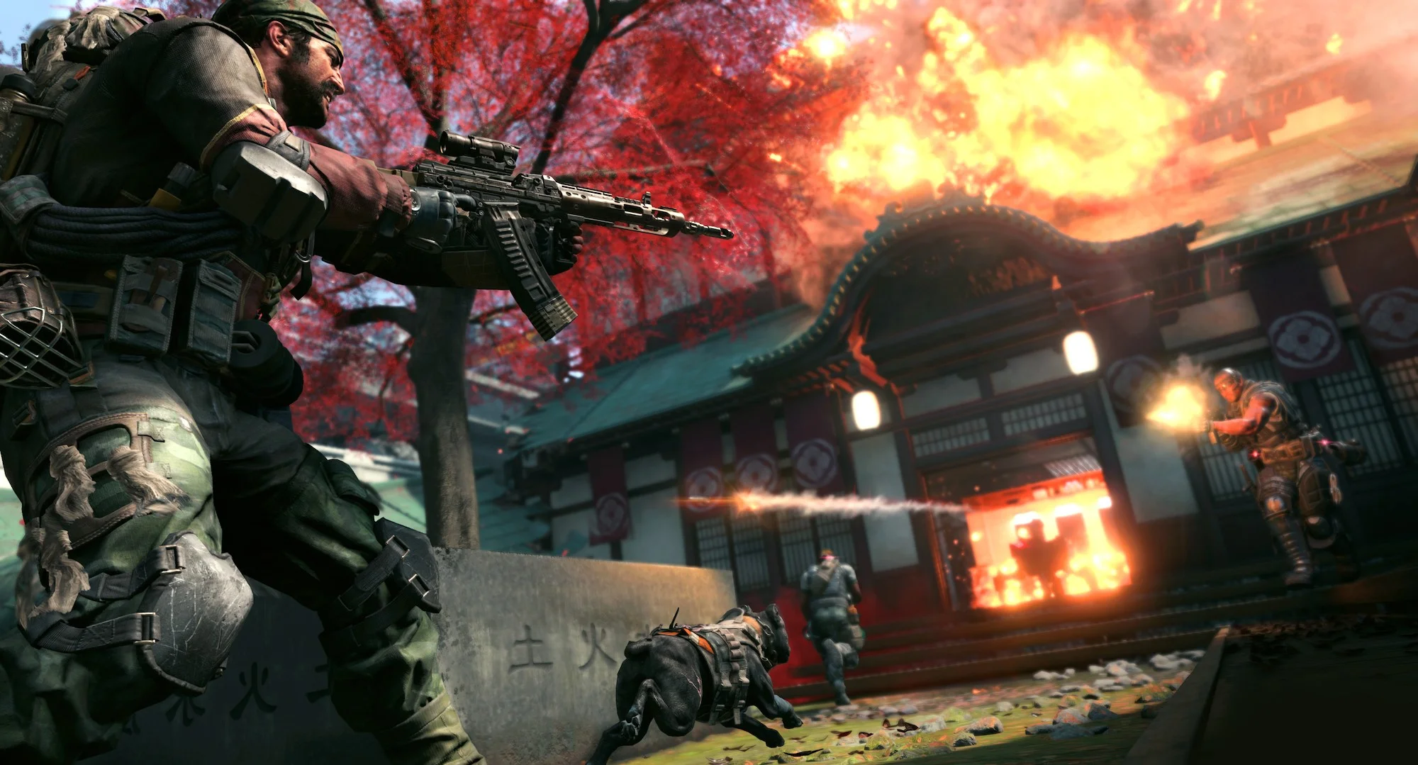 Call of Duty: Black Ops 4 заметно повзрослела - изображение обложка
