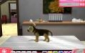 Paws & Claws Pet Vet 2 - изображение обложка