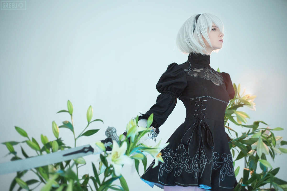 Косплей недели: NieR: Automata, Star Wars, Dead or Alive - изображение 1 Косплей недели: NieR: Automata, Star Wars, Dead or Alive - фото 1