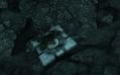 Коды по "Тургор" (читательские пасхалки) - изображение обложка