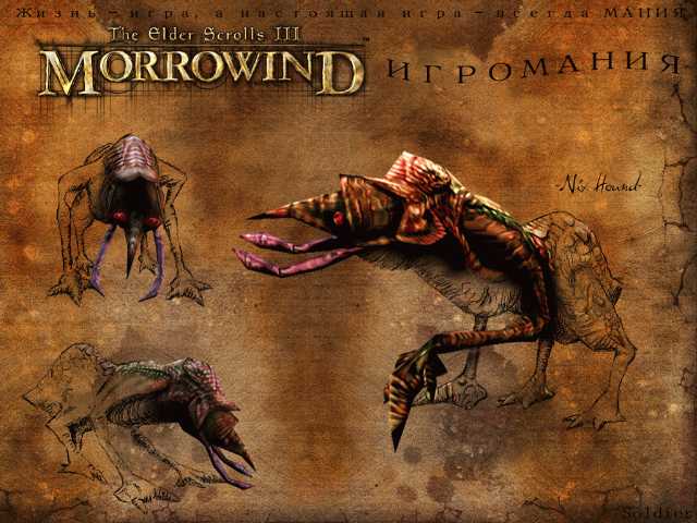 The Elder Scrolls III: Morrowind. Тайны древних свитков - изображение 6 The Elder Scrolls III: Morrowind. Тайны древних свитков - фото 6