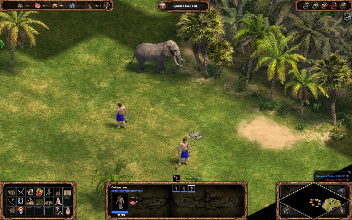 Age of Empires: Definitive Edition. 20 лет спустя - изображение 4 Age of Empires: Definitive Edition. 20 лет спустя - фото 4