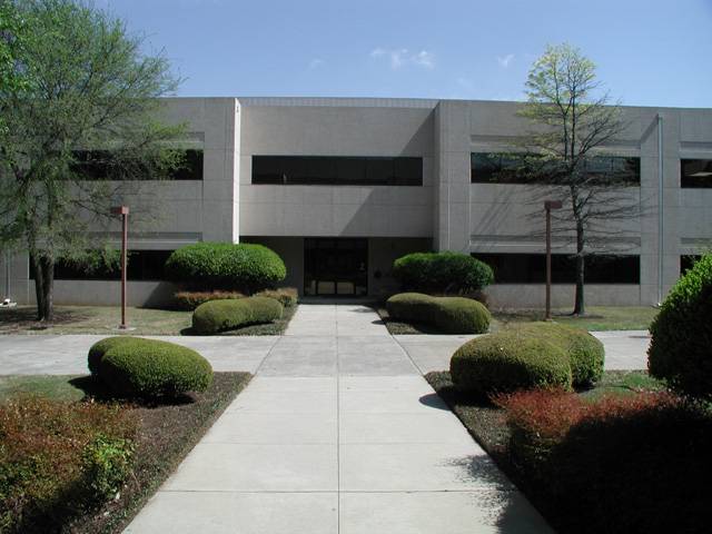 Фабрика звезд. Куда пойти учиться на разработчика - фото 13