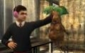 Harry Potter and the Order of the Phoenix
