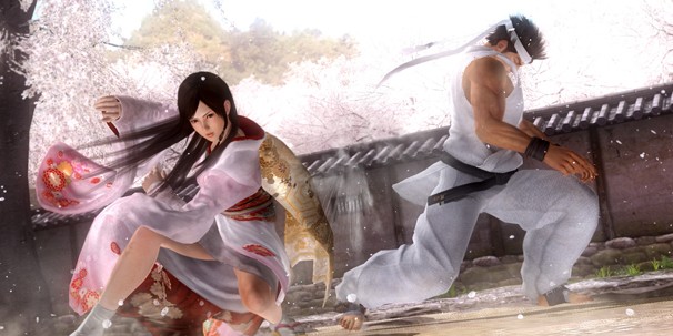 Dead or Alive 5 - изображение 21 Dead or Alive 5 - фото 21