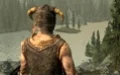 The Elder Scrolls 5: Skyrim - изображение обложка