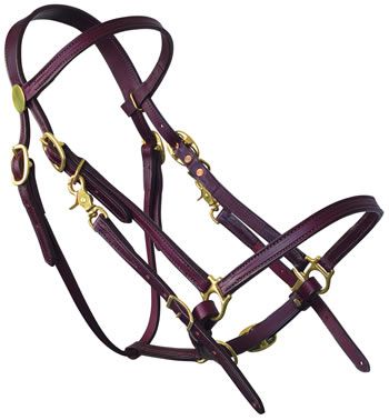 Конь номера. Shadow of the Colossus - фото 6