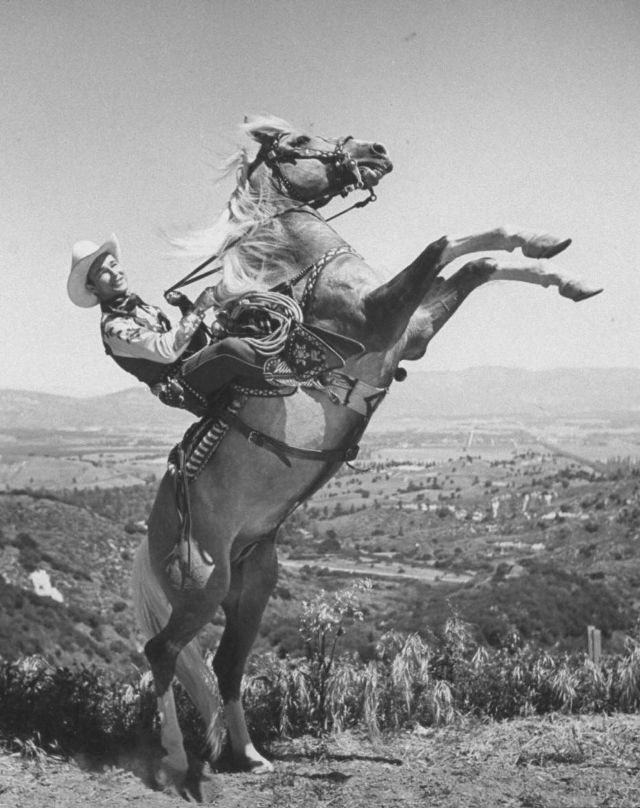 Конь номера. Shadow of the Colossus - фото 4