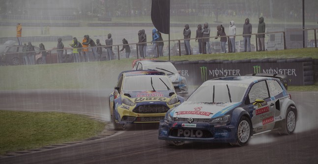 Раллийный симулятор 2.0. Обзор DiRT Rally - изображение 11 Раллийный симулятор 2.0. Обзор DiRT Rally - фото 11