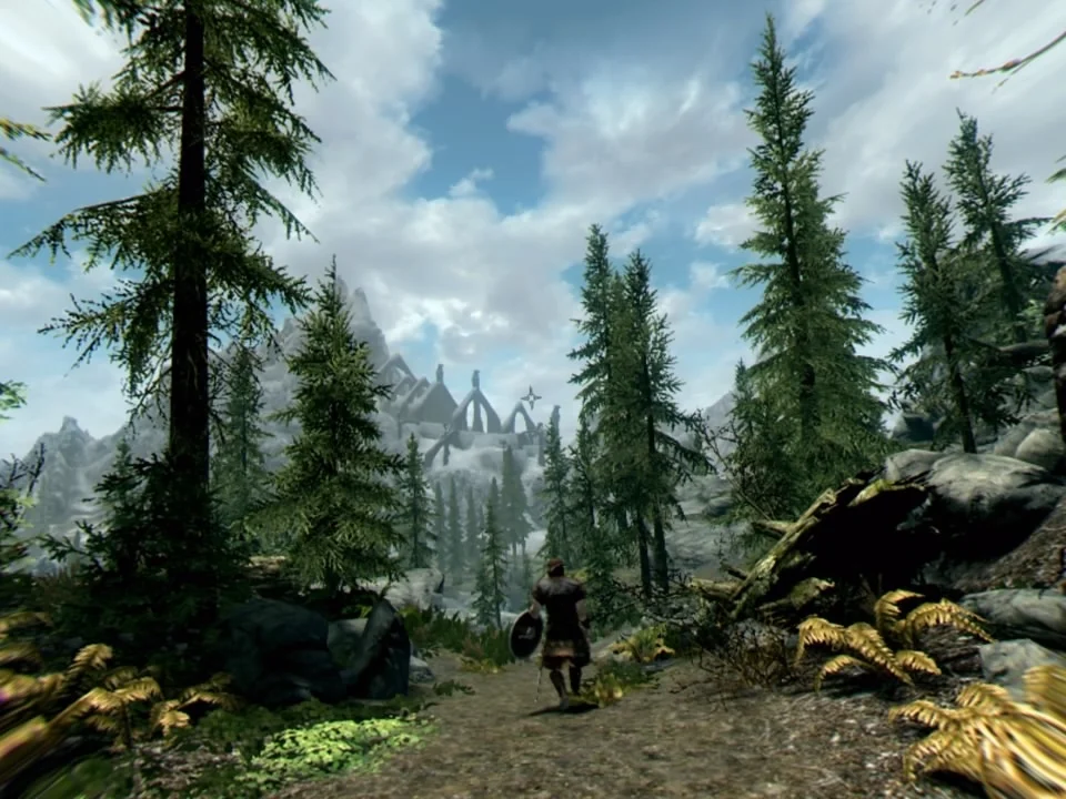 The Elder Scrolls 5: Skyrim VR. Блеск и нищета виртуальной реальности - фото 6