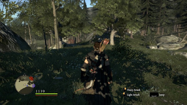 Четыре причины сыграть в Dragon’s Dogma: Dark Arisen на ПК - изображение 5 Четыре причины сыграть в Dragon’s Dogma: Dark Arisen на ПК - фото 5