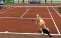 International Tennis Pro