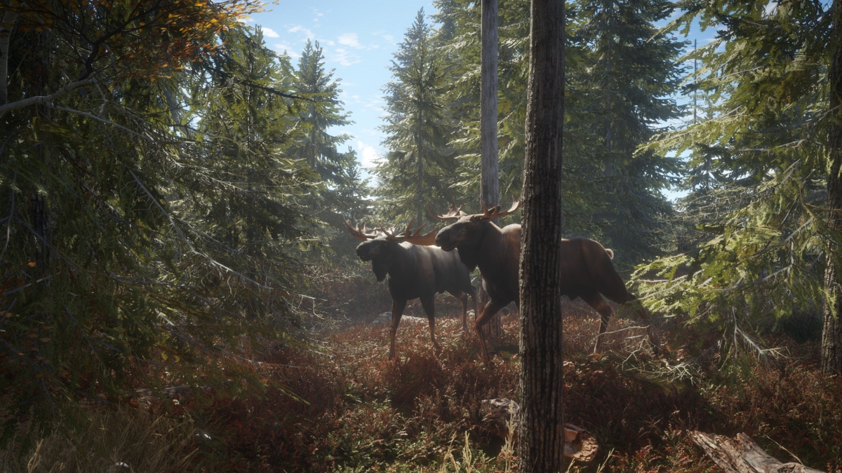 Обзор theHunter: Call of the Wild. Зов о помощи - изображение 11 Обзор theHunter: Call of the Wild. Зов о помощи - фото 11