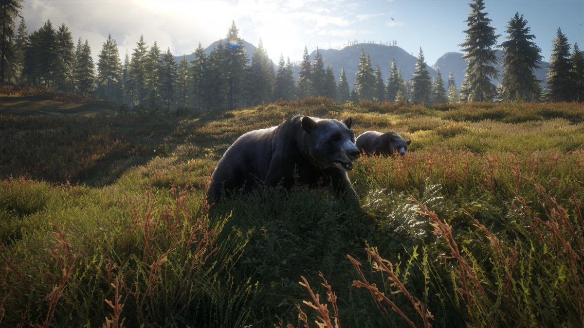 Обзор theHunter: Call of the Wild. Зов о помощи - изображение 14 Обзор theHunter: Call of the Wild. Зов о помощи - фото 14