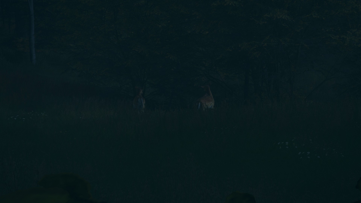 Обзор theHunter: Call of the Wild. Зов о помощи - изображение 9 Обзор theHunter: Call of the Wild. Зов о помощи - фото 9