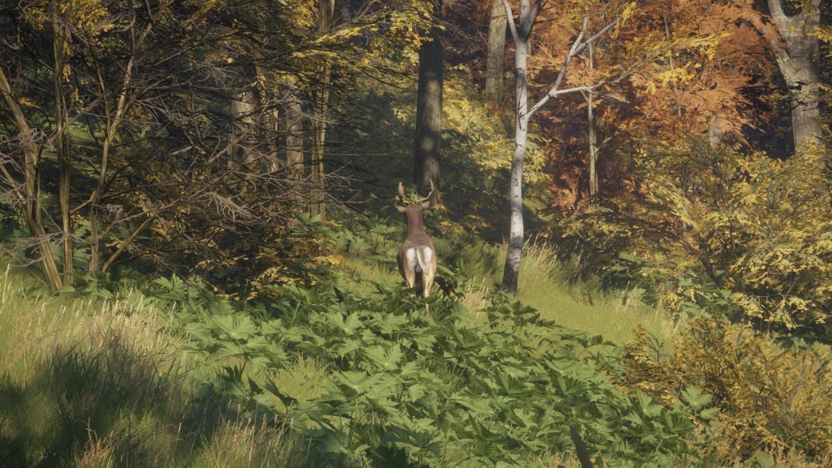 Обзор theHunter: Call of the Wild. Зов о помощи - изображение 5 Обзор theHunter: Call of the Wild. Зов о помощи - фото 5