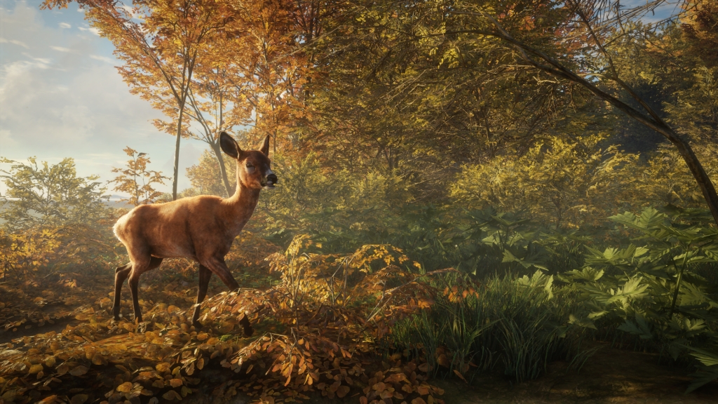 Обзор theHunter: Call of the Wild. Зов о помощи - изображение 15 Обзор theHunter: Call of the Wild. Зов о помощи - фото 15