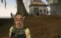 Руководство и прохождение по "The Elder Scrolls III: Morrowind" - изображение 1