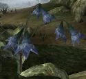 Руководство и прохождение по The Elder Scrolls III: Morrowind - фото 6