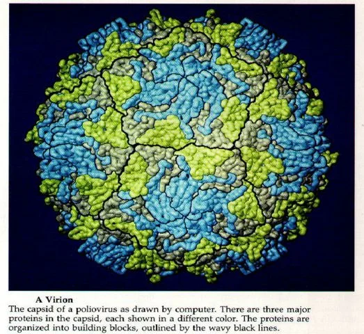 Философия вирусов, часть 1. Древнейшая история - фото 8