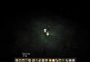 Don’t Starve - изображение 13 Don’t Starve - фото 13