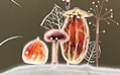 Botanicula - изображение обложка