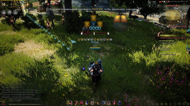 Black Desert: что делать, если я пацифист - изображение 9 Black Desert: что делать, если я пацифист - фото 9