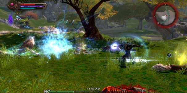 Kingdoms of Amalur: Reckoning - фото 10