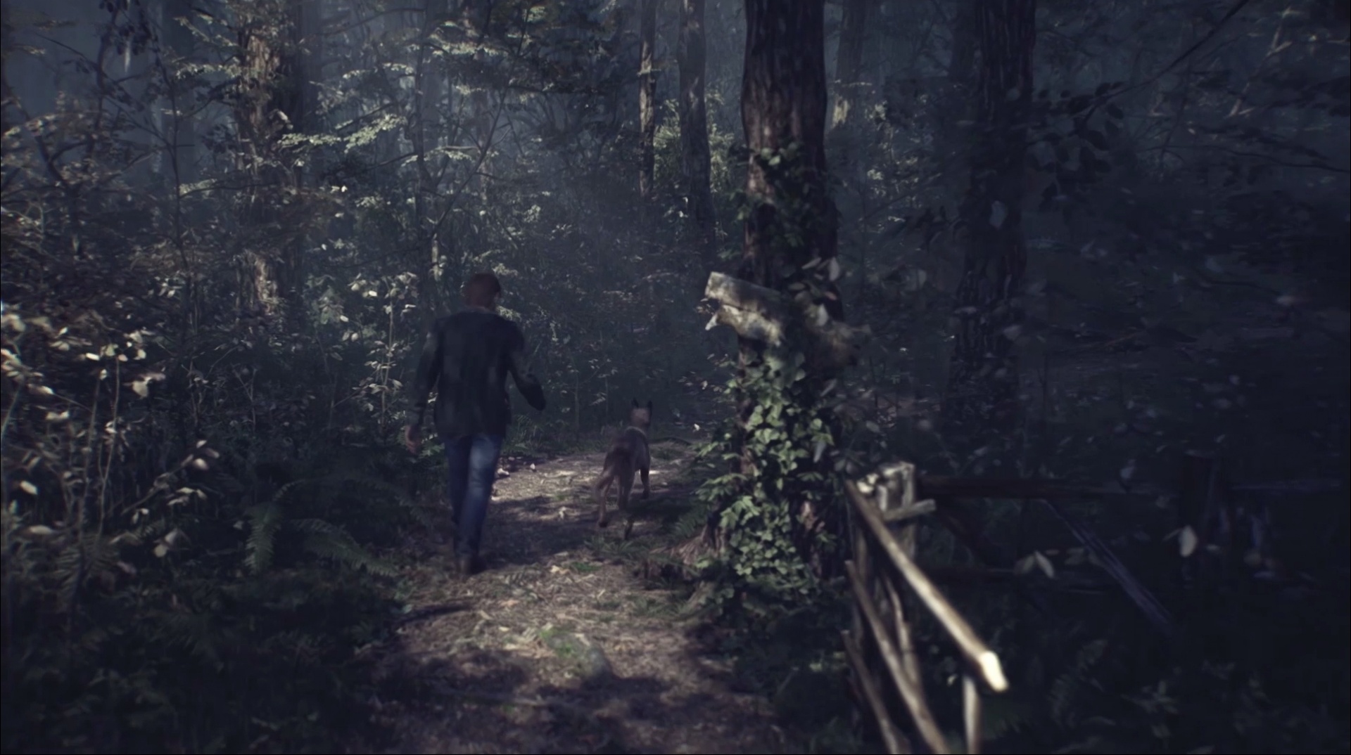 Обзор Blair Witch. Alan Wake на минималках - изображение 1 Обзор Blair Witch. Alan Wake на минималках - фото 1