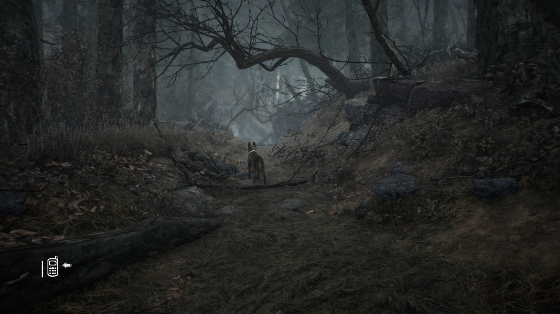 Обзор Blair Witch. Alan Wake на минималках - изображение 3 Обзор Blair Witch. Alan Wake на минималках - фото 3