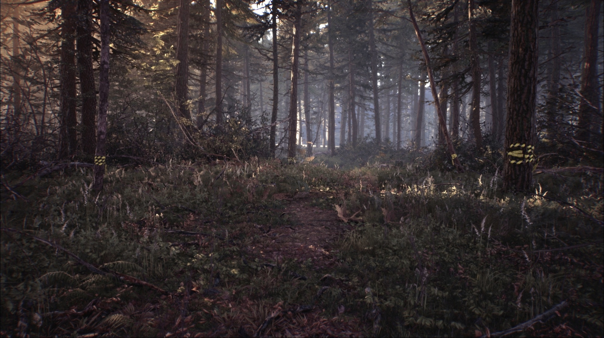 Обзор Blair Witch. Alan Wake на минималках - изображение 2 Обзор Blair Witch. Alan Wake на минималках - фото 2