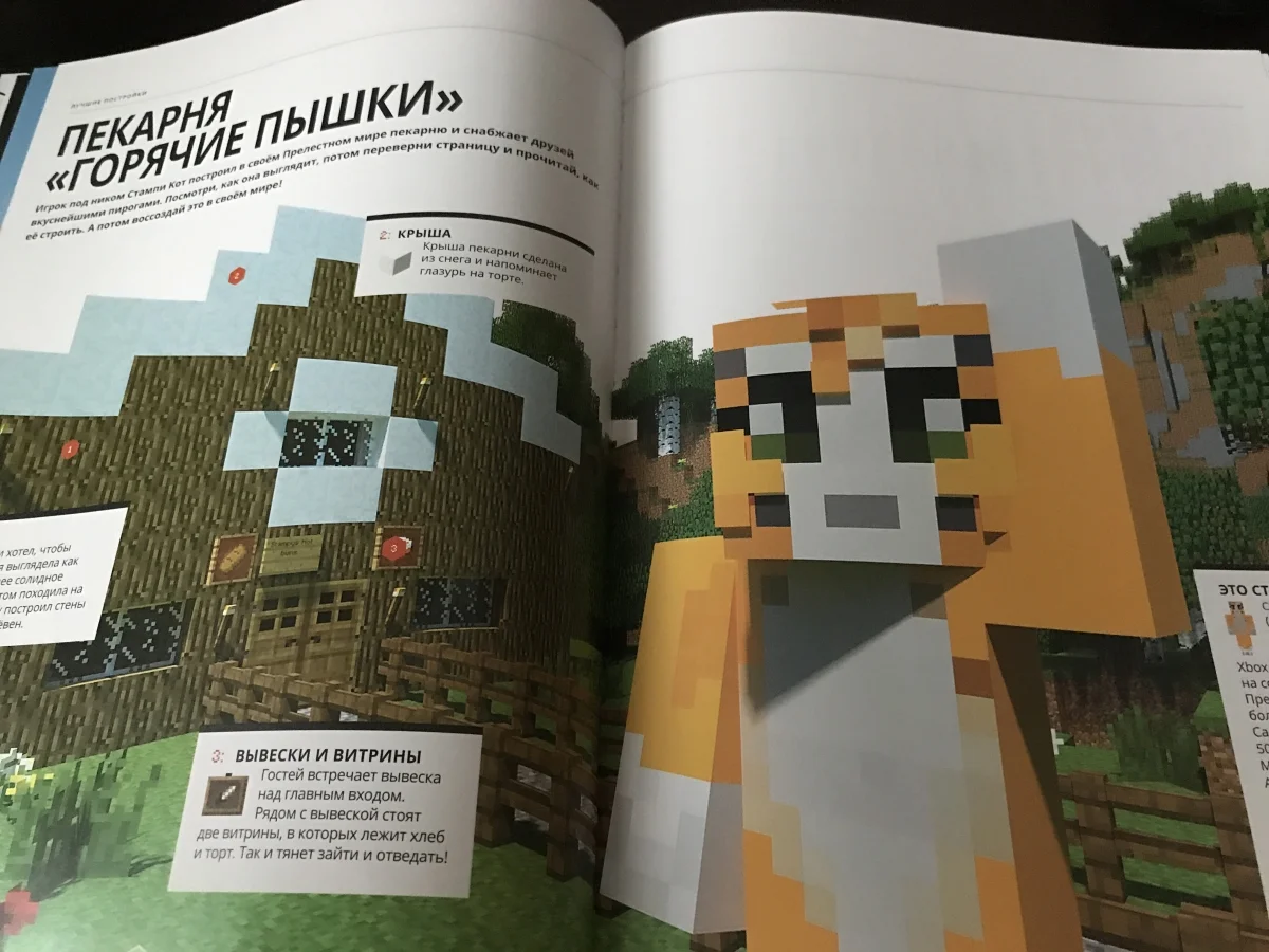 Обзор двух книг по Minecraft — «Minecraft: Только факты» и «Minecraft: Средневековая крепость» - фото 3