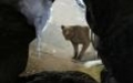 ECHO: Secrets of Lost Cavern